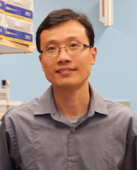 Lei Ding, Ph.D. 