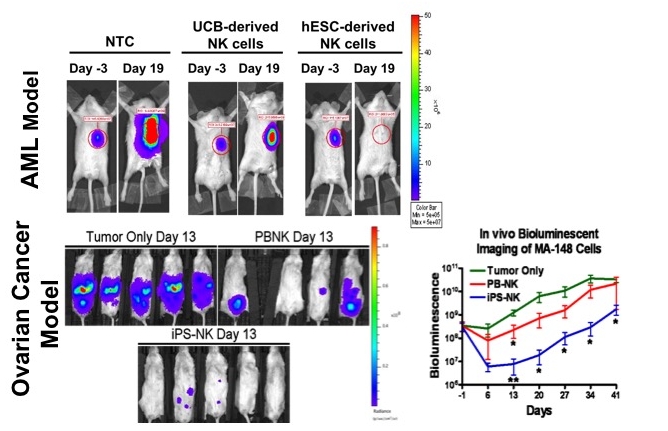 Improved Tumor Killing by hESC/iPSC-derived NK cells