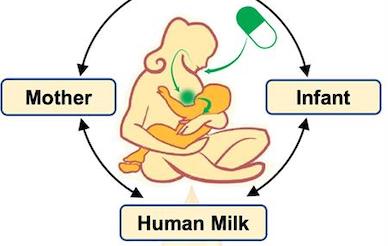 MPRINT CET at UC San Diego will study the effects of antibiotics on the Mother-Milk-Infant triad.