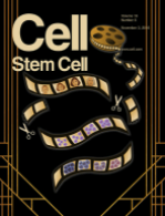 Cell Stem Cell Cover, Nov 2016